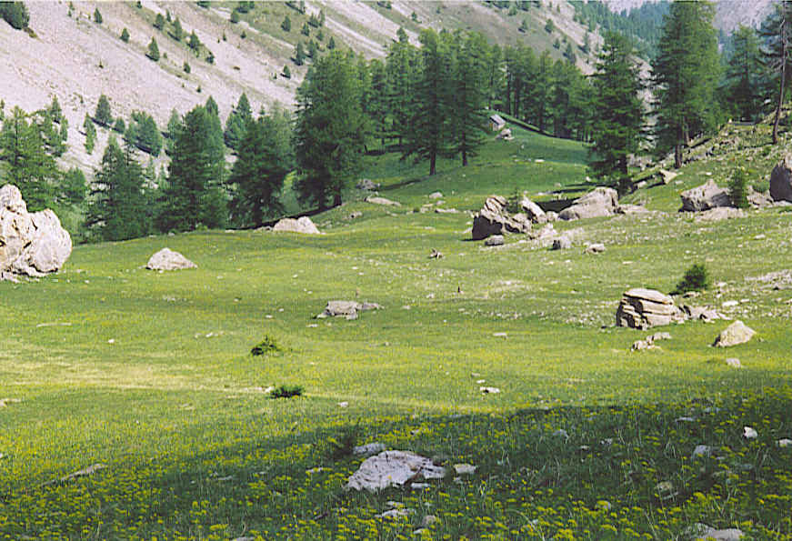 Parc National du Mercantour